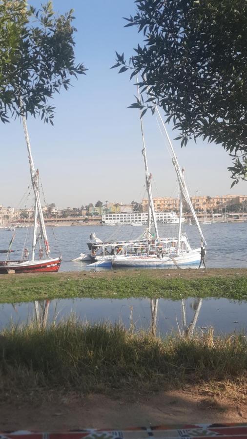 Villa Victoria Old Nile View Λούξορ Εξωτερικό φωτογραφία